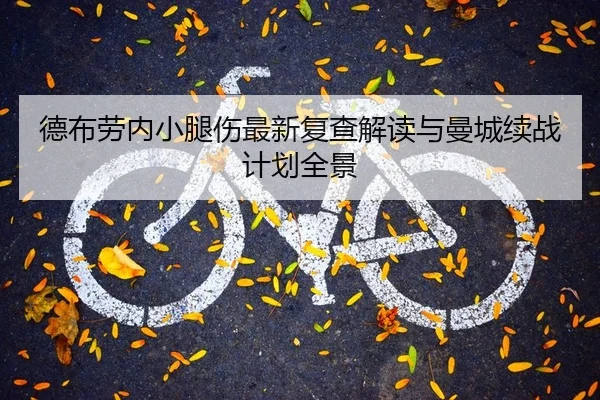 德布劳内小腿伤最新复查解读与曼城续战计划全景 - PG